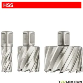 Euroboor 21005502001004 HCL.200 Carotteuse, HSS, D 20 mm, DoC 55 mm, Weldon